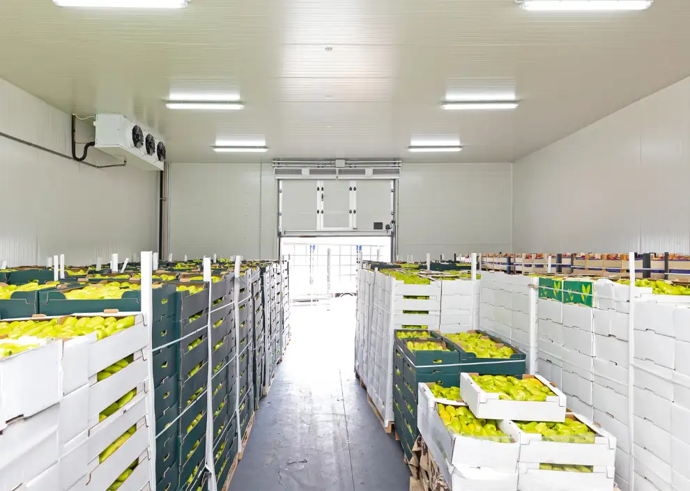 storageItems.item3.title